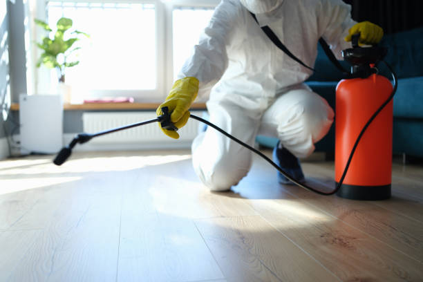 Reliable Odor Removal contractor in Gerlach, NV by Crime Scene Cleaner Online